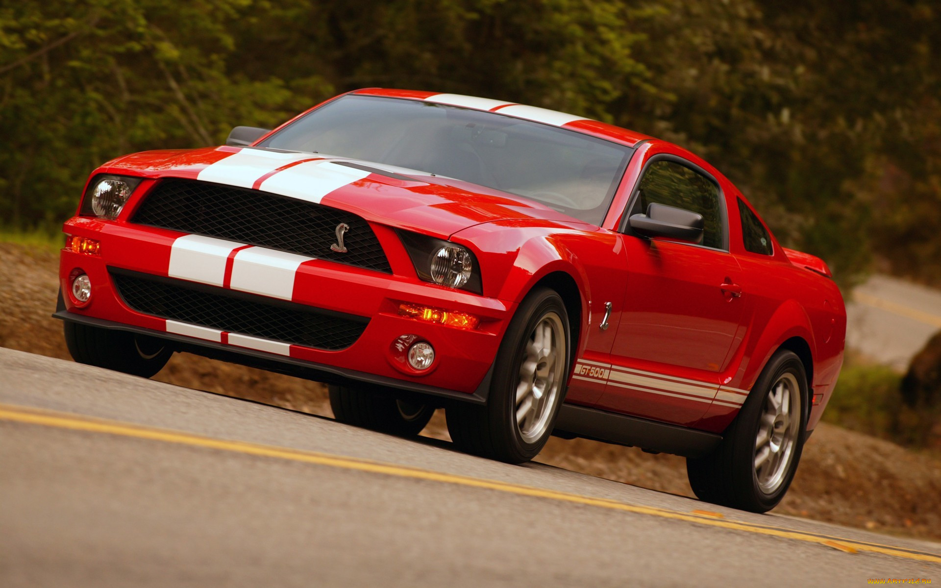 Ford Mustang Shelby gt 700